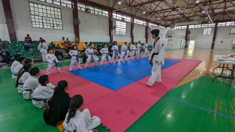 Taekwondo Vonnacher Guepardos