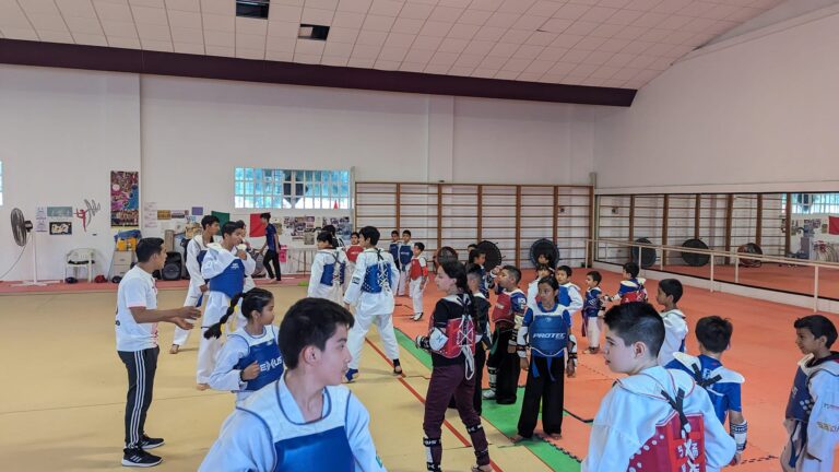 Taekwondo Vonnacher Guepardos