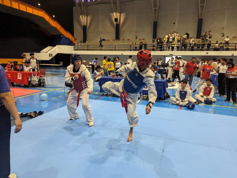 Taekwondo Vonnacher Guepardos